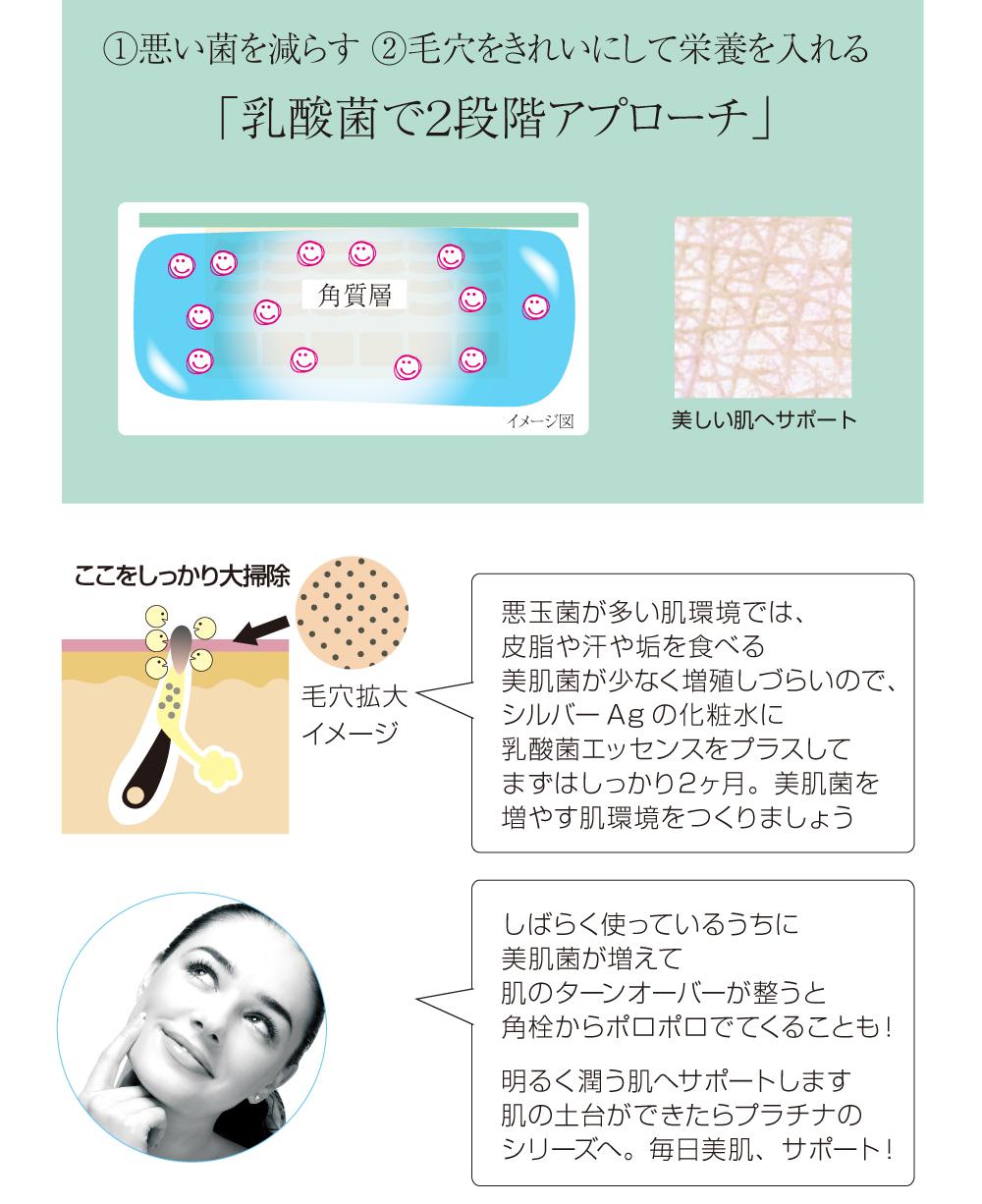 誕生　ヒト乳酸菌配合 プラチナライン